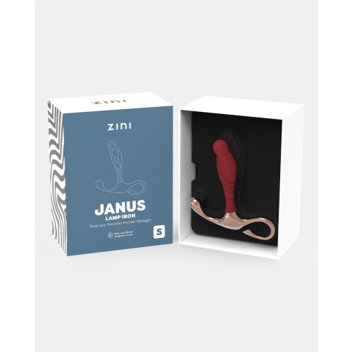 Zini Janus Lamp Iron Precision Prostate Massager