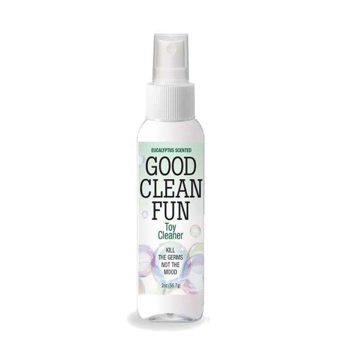 Good Clean Fun Toy Cleaner Eucalyptus Invigorate