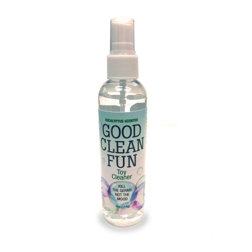 Good Clean Fun Toy Cleaner 4 oz