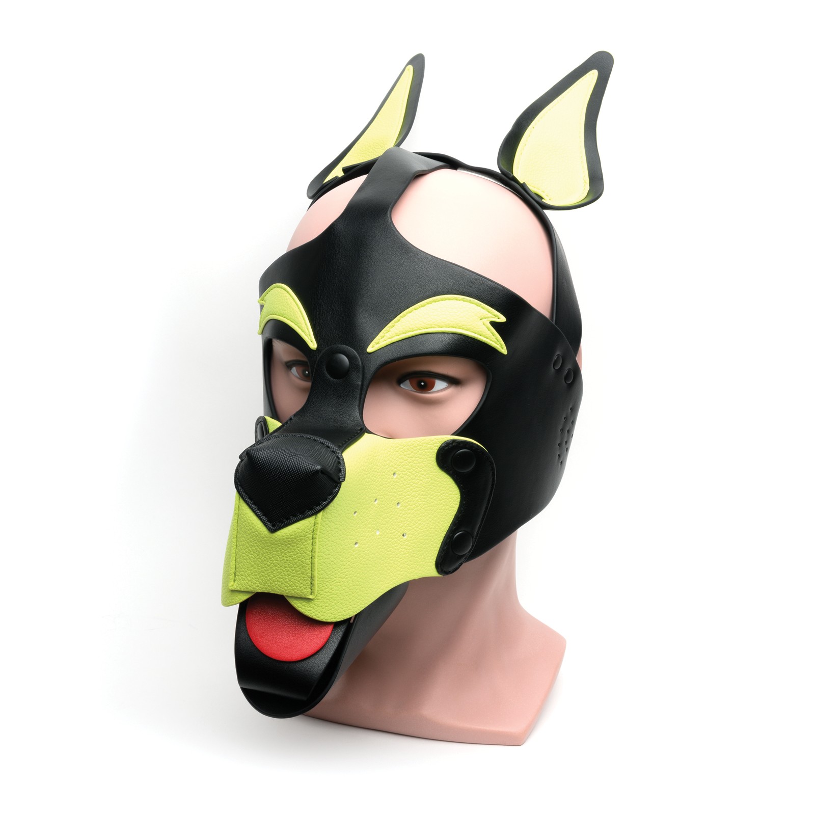 665 Playful Pup Hood