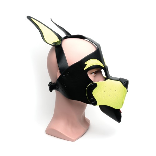 665 Playful Pup Hood