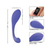 Connect App Based Kegel Exerciser