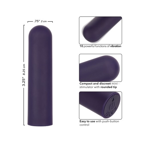 Turbo Buzz Rounded Bullet Vibrator - Purple