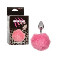 Running Wild Bunny Tail Anal Probe for Pleasure