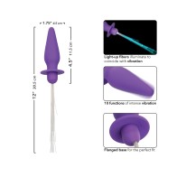 Southern Lights Vibrating Anal Probe Purple