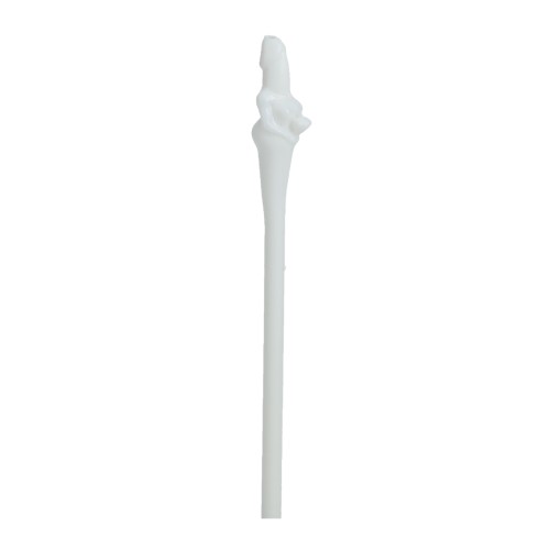 Funny Dickheads Bride Straws