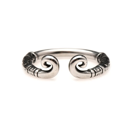 Anillo de Glande de Acero Inoxidable Kingpin - Ajuste Ajustado