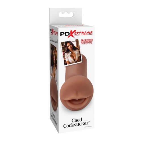 PDX Extreme Coed Cocksucker Realistic Stroker