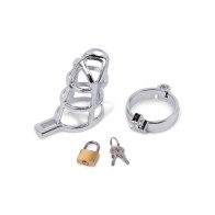 Cage para Pene de Acero Inoxidable Lockmaster 3.75 pulgadas