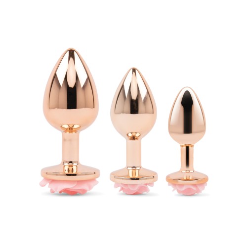 Gemsations 3 Piece Anal Training Set - Rose Metal