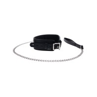 Edge Collar and Leash - Stylish Control