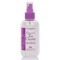 Dr. Laura Berman Intimate Basics Toy Cleaner - Essential Care