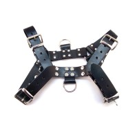 Rouge Over the Head Medium Harness Black