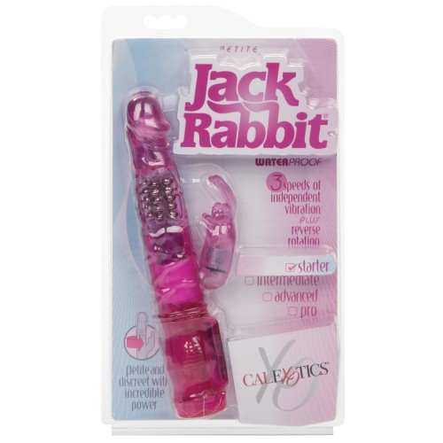 Jack Rabbit Petite Vibrator - Compact and Powerful