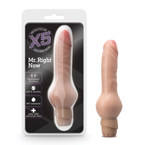 Blush X5 Mr Right Now Realistic Vibrator