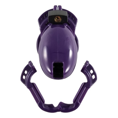 Locked In Lust Vice Plus Chastity Cage - Comfort Meets Security