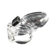 Locked In Lust The Vice Plus Chastity Cage for Pleasure and Control