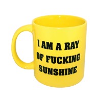 Attitude Mug - I am a Ray of Sunshine