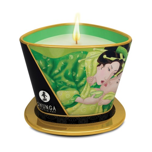 Shunga Zenitude Massage Candle 5.7 oz Exotic Green Tea