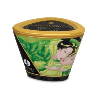 Shunga Zenitude Massage Candle 5.7 oz Exotic Green Tea