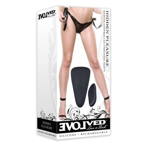 Vibrador de Panty Oculto Evolved - Negro