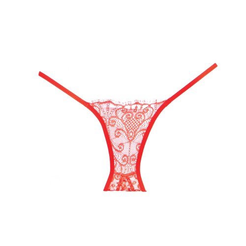 Adore Lace Enchanted Belle Panty - Red O/S