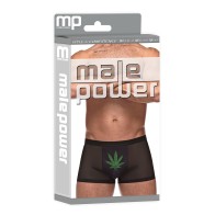 Private Screening Micro Mesh Modal Pot Leaf Shorts Black