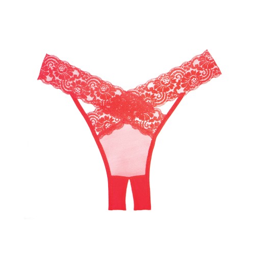 Panty de Encaje Transparente Adore para Uso Sensual