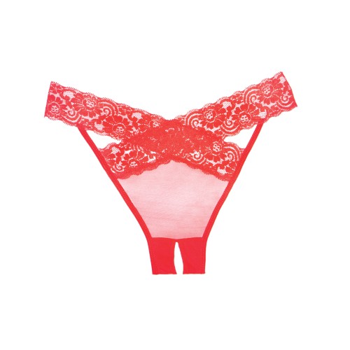 Adore Sheer Lace Panty for Sensual Wear