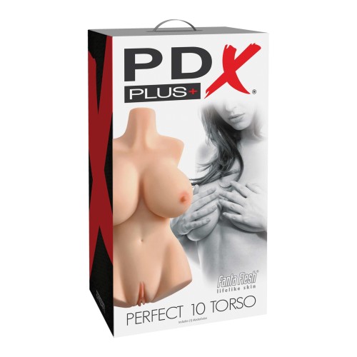 PDX Plus Perfect 10 Torso Ivory