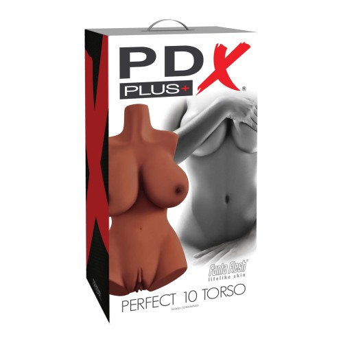 Torso Realista PDX Plus Perfect 10 para Placer