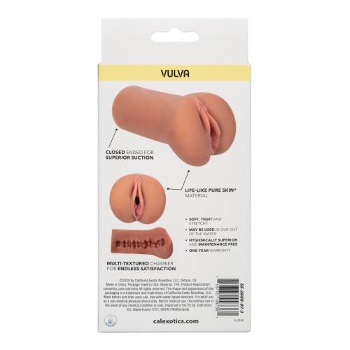 Boundless Vulva Toy - Brown