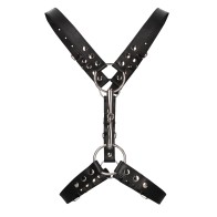 Shots Uomo Men's Harness with Metal Bit