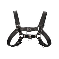 Shots Uomo Chest Bulldog Harness for Bold Style