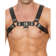 Shots Uomo Chest Bulldog Harness for Bold Style