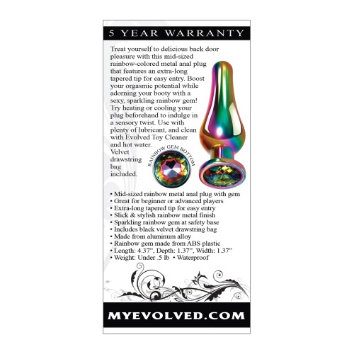 Medium Rainbow Metal Plug for Ultimate Pleasure