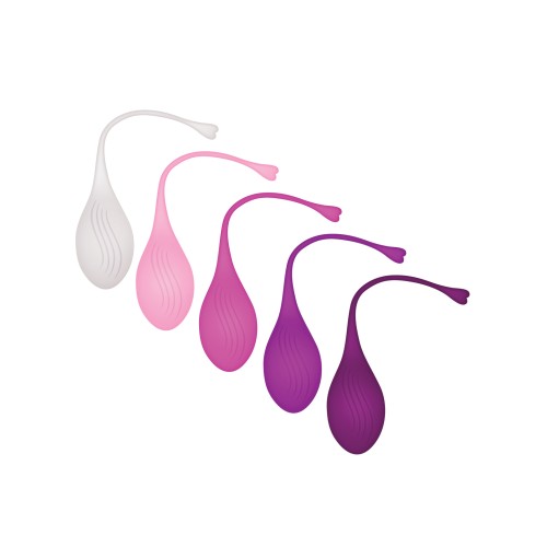 Evolved 5-Piece Weighted Kegel Ball Set - Assorted Colors