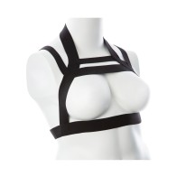 Gender Fluid Majesty Harness - Black for All Bodies