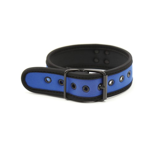 Collar de Neopreno Plesur para Cachorros - Azul