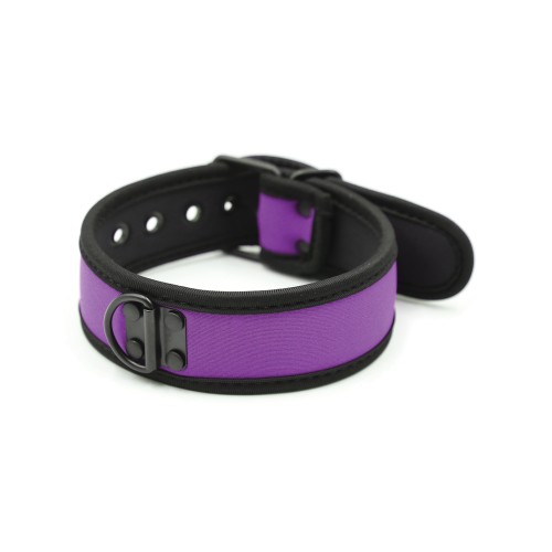 Plesur Neoprene Puppy Collar