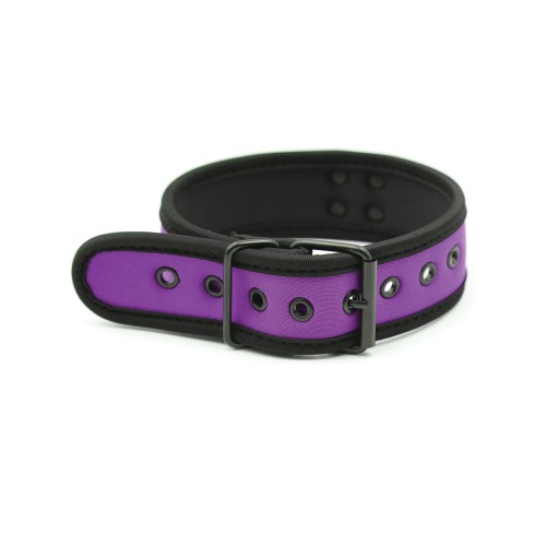 Collar de Neopreno Plesur para Cachorros