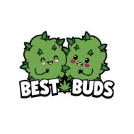 Pin Best Buds de Wood Rocket Verde para Amantes del Cannabis