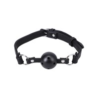 In A Bag Black Ball Gag