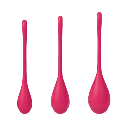 Satisfyer Yoni Power 1 Training Set Red