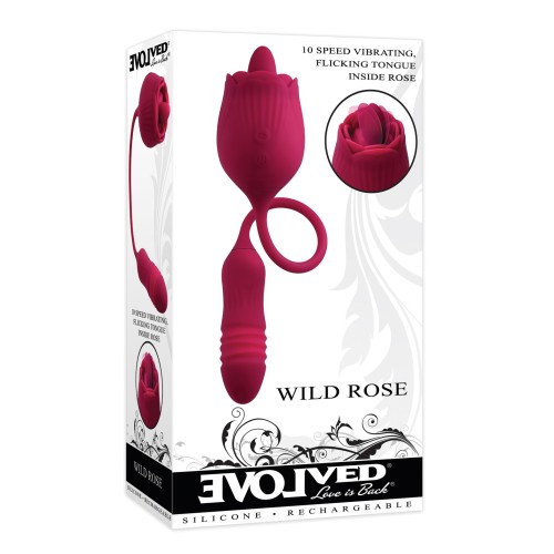 Evolved Wild Rose - Rojo