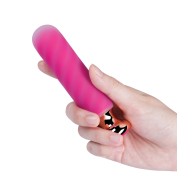 Rose Twister Vibrating Anal Plug con Control Remoto