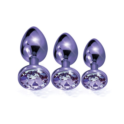 Nixie Metal Butt Plug Trainer Set - Purple