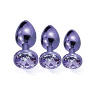 Nixie Metal Butt Plug Trainer Set - Purple