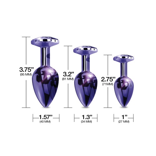 Nixie Metal Butt Plug Trainer Set - Purple