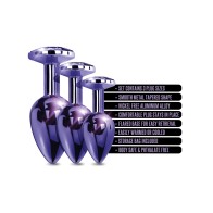 Nixie Metal Butt Plug Trainer Set - Purple